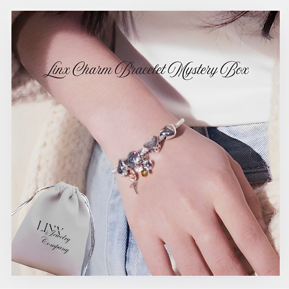 Linx Charm Bracelet Mystery Box includes 1 Bracelet and 5 Charms